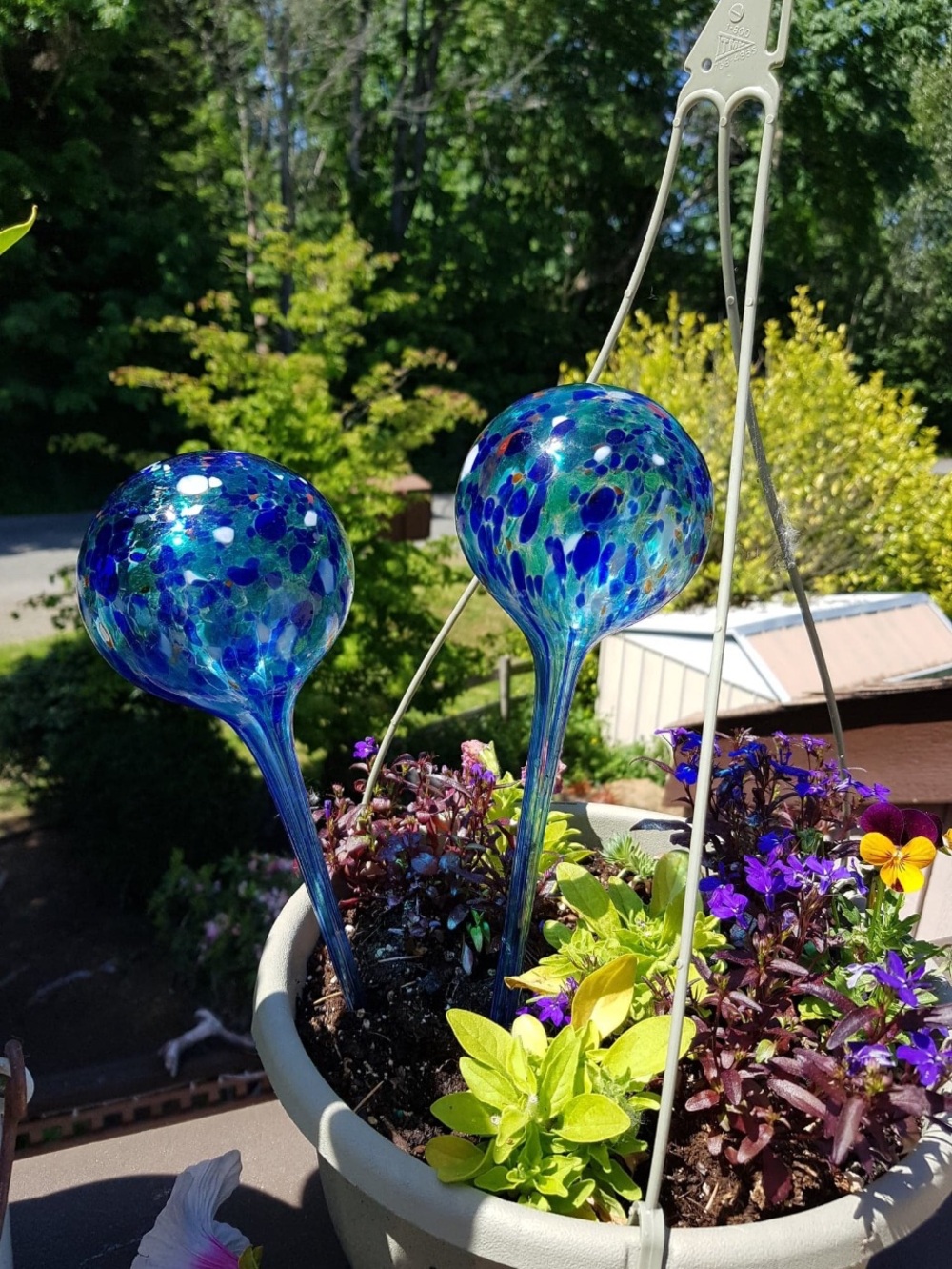Hand blown Watering Irrigation Globes Blue Glass Garden Stakes